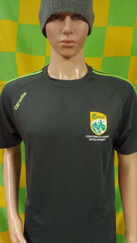 Kerry gaa coach - coach, development